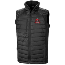 Load image into Gallery viewer, Bedfordshire Netball Viper Gilet
