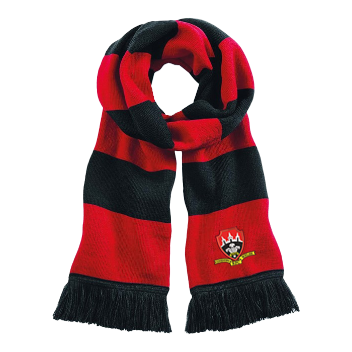 Coventry Welsh RFC Scarf