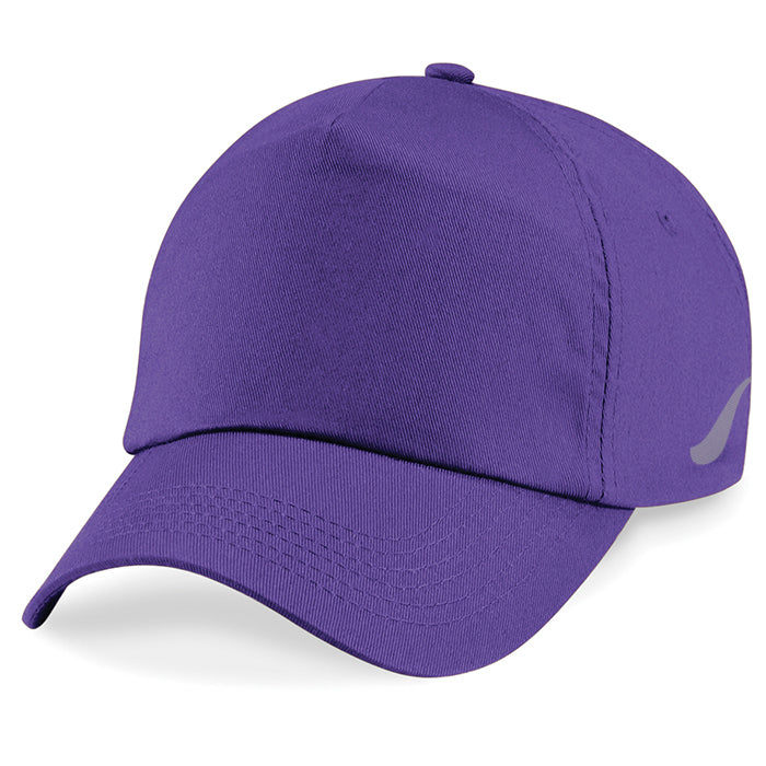 Scorpion Panel Cap - Purple